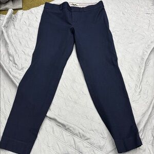 Banana Republic Deep Blue Trousers